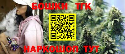 мдпв Кингисепп