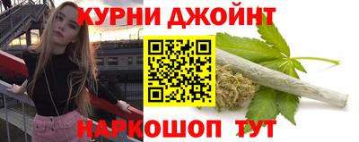 мдпв Кингисепп