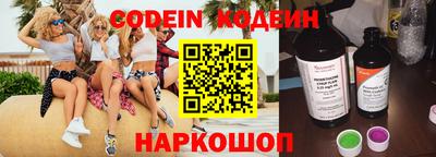 мдпв Кингисепп