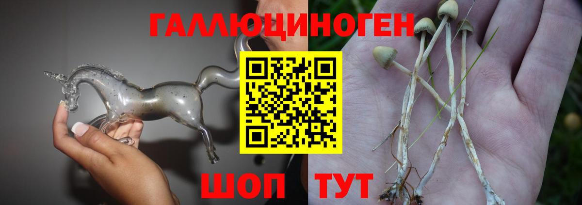 наркошоп  Псилоцибиновые грибы MAGIC MUSHROOMS  Вход с VPN  Изобильный 